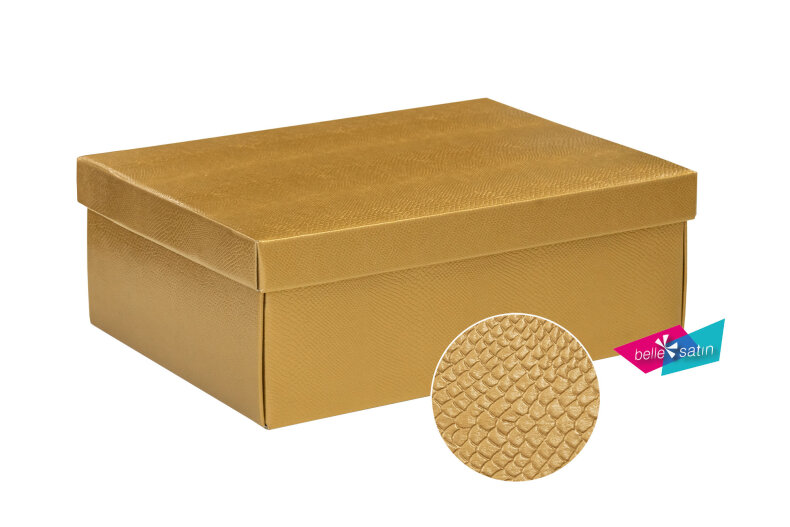 4080_krabicka_s_vickem_zlata